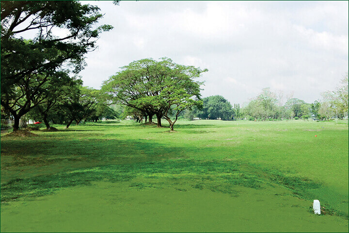Air Force City Golf Club photo