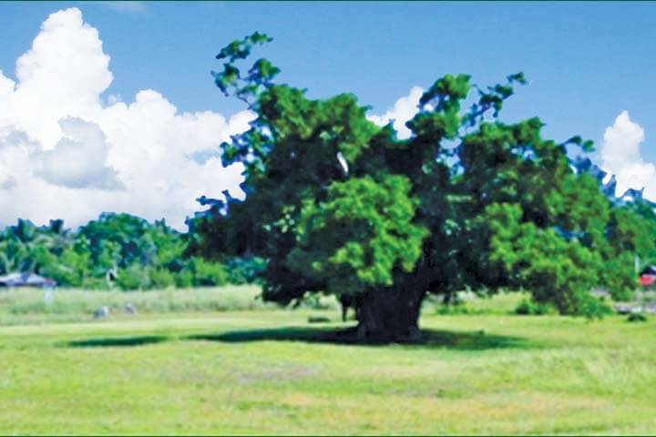 Dagupan Golf & Beach Club photo